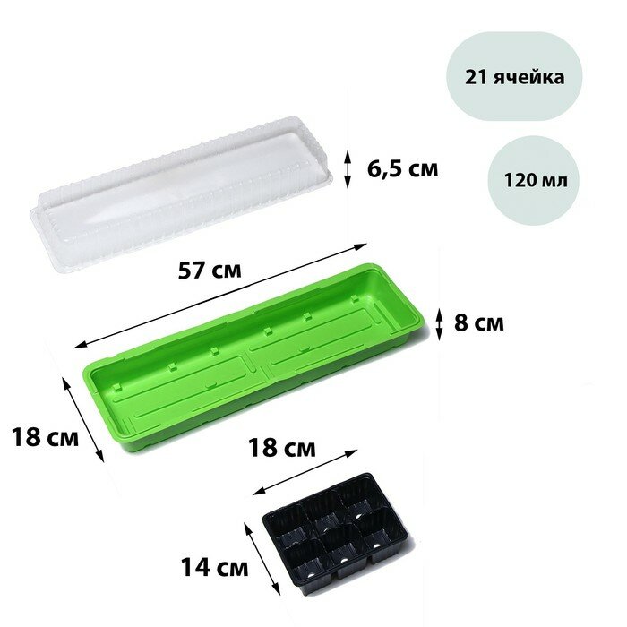 фото Мини-парник для рассады, 57 × 18 × 14,5 см, 3 вставки, 18 ячеек, Greengo(5 шт.)