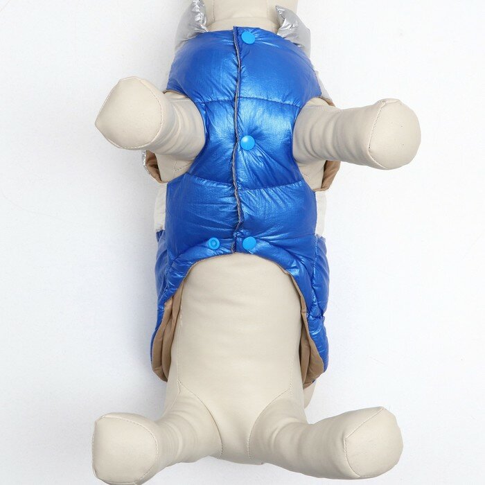 Куртка для собак с утяжкой размер 16 (ДС 36, ОГ 46, ОШ 35), серебряно-синяя - фотография № 5
