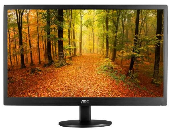  20 AOC E2070SWN/01