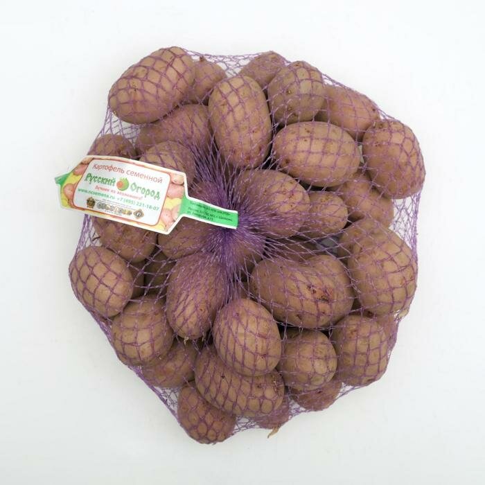 Семенной картофель "Мираж" 2 кг Супер Элита, р/р 28/55 - фотография № 1