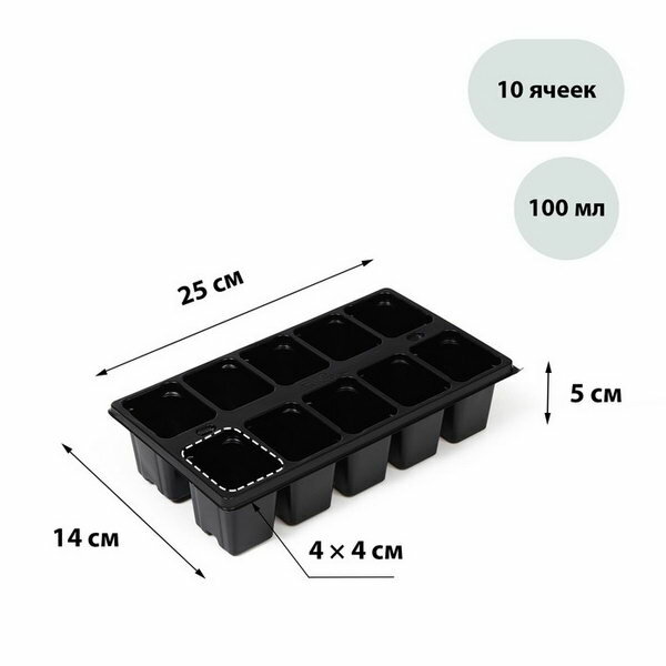 Кассета для рассады, 10 ячеек по 100 мл, чёрная, 10 шт. - фотография № 1
