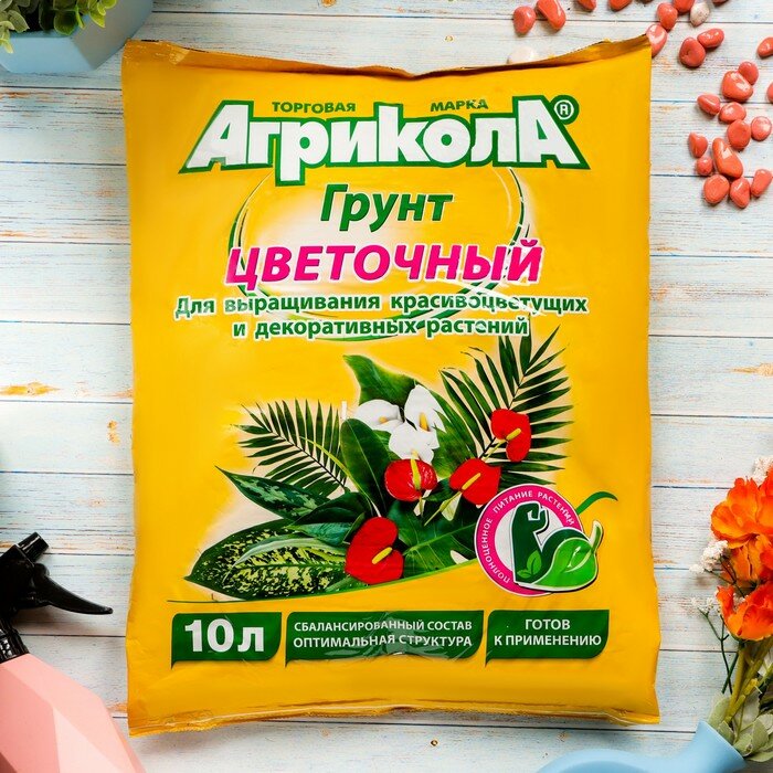 Грунт 