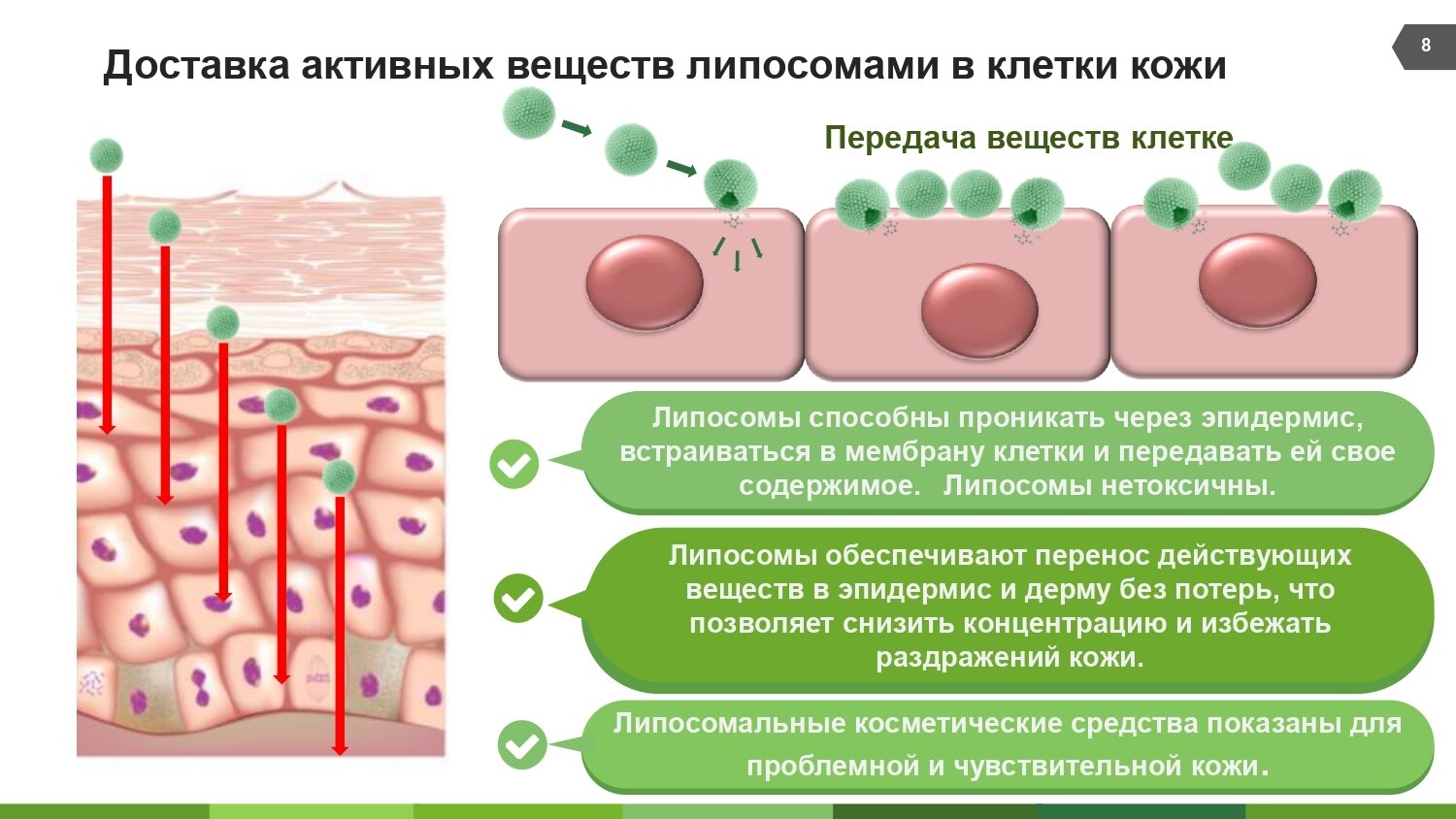 Ринфолтил липосомальная сыворотка против выпадения волос/препятствует развитию ранней седины 160мг 30шт АО Вектор-Медика - фото №8