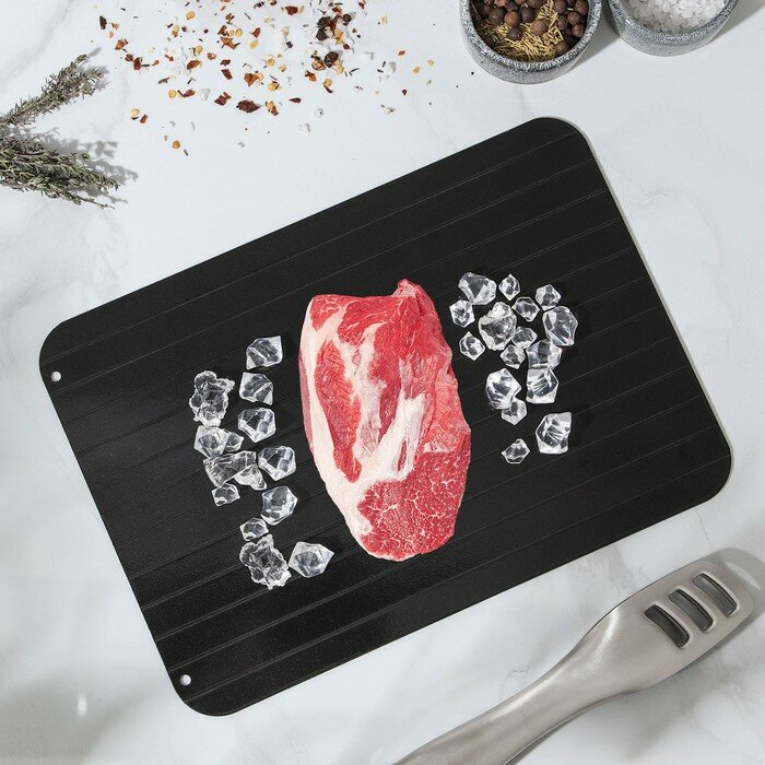 фото Противень для разморозки продуктов Доляна, 29,5×20,5 см, цвет чёрный