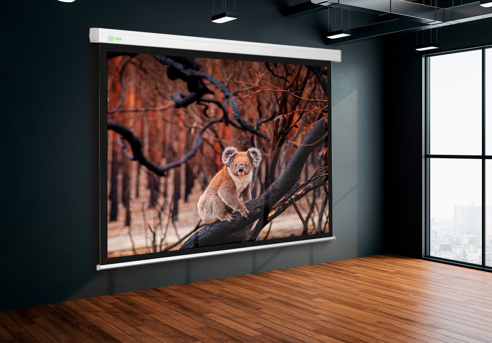 Экран CACTUS Wallscreen , 299х168 см, 16:9, настенно-потолочный белый - фото №2