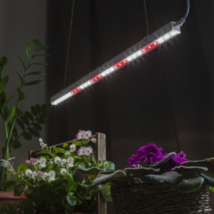Светильник для растений линейный, 9 Вт, L572мм, розовый спектр - фотография № 6