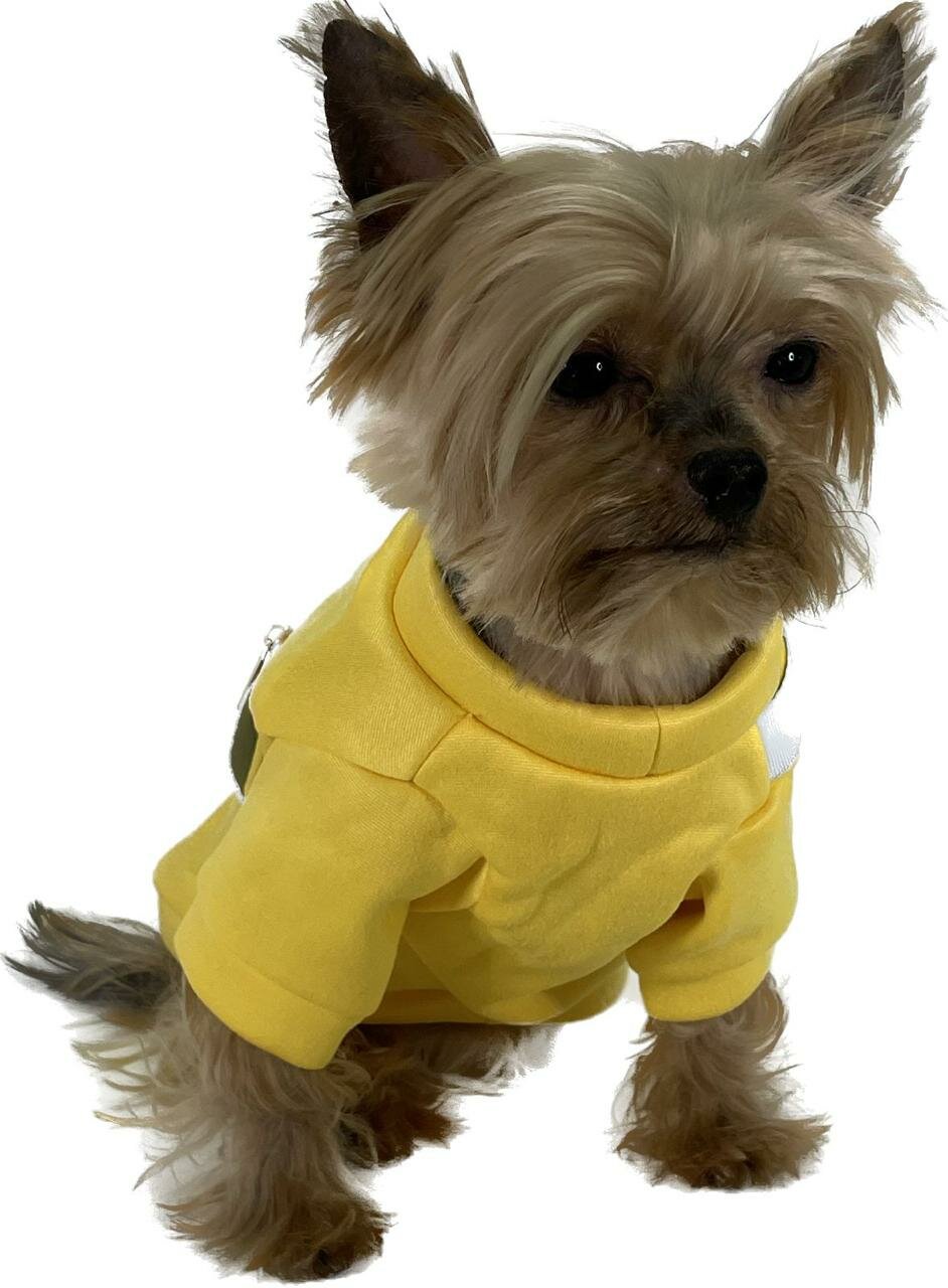Одежда для собак теплый плюшевый свитер желтый с сумкой XS - фотография № 7