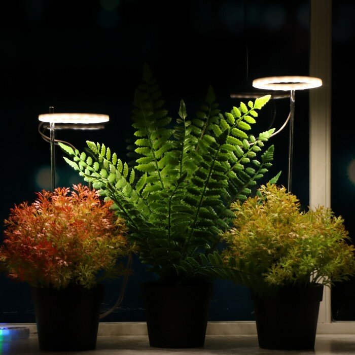 фото Фитосветильник светодиодный, 4 Вт, 5 В, в горшок, USB, полноспектральный, 2 круга