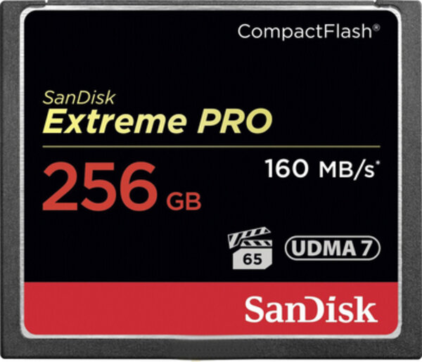 Память Compact Flash 256Gb SanDisk SDCFXPS-256G-X46 .