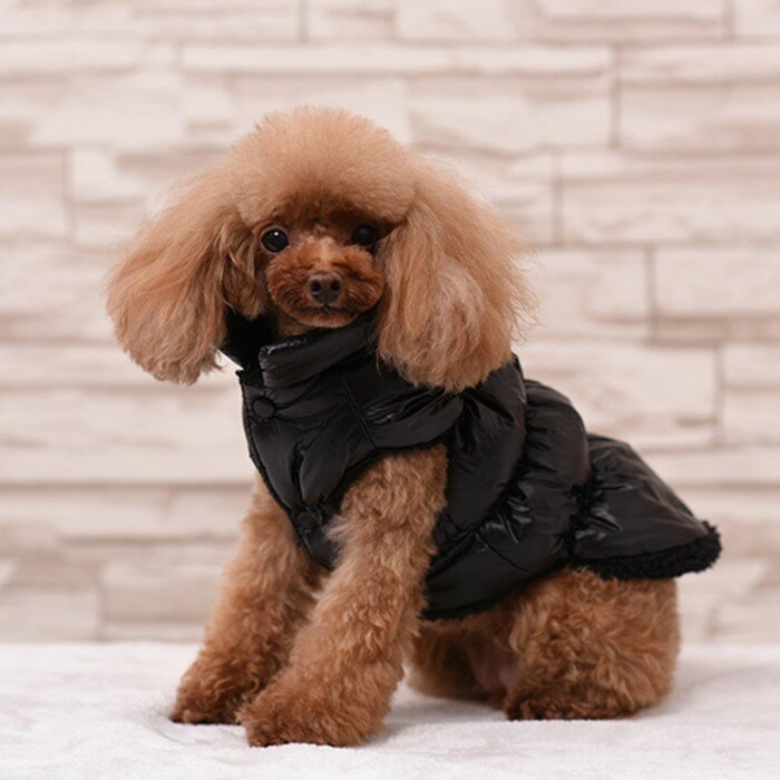FlowMe Куртка для собак "Блеск", S (ДС 25, ОГ 37, ОШ 24 см, до 5 кг), чёрная - фотография № 1