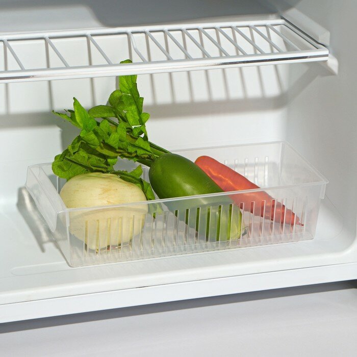 Контейнер для холодильника Доляна, 29,5×13×7 см, цвет прозрачный - фотография № 1