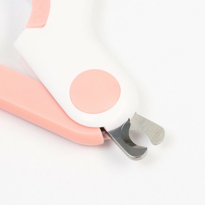 Когтерез - ножницы для животных с LED фонарём, розовый - фотография № 6