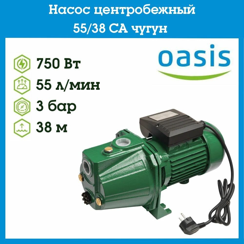 фото Насос центробежный OASIS 55/38CA чугун