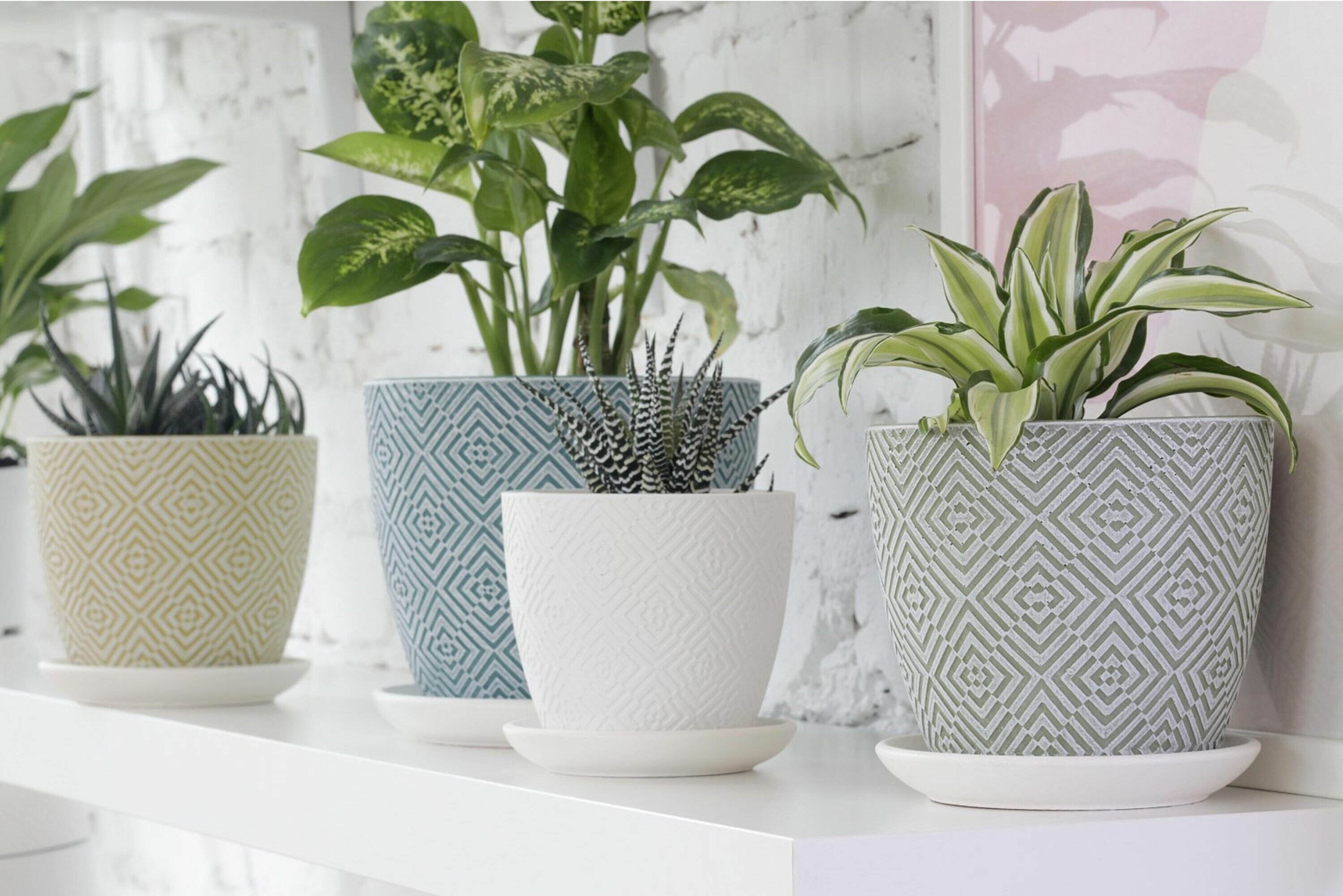 фото Горшок Квартет d15 см бетонный оливковый с поддоном