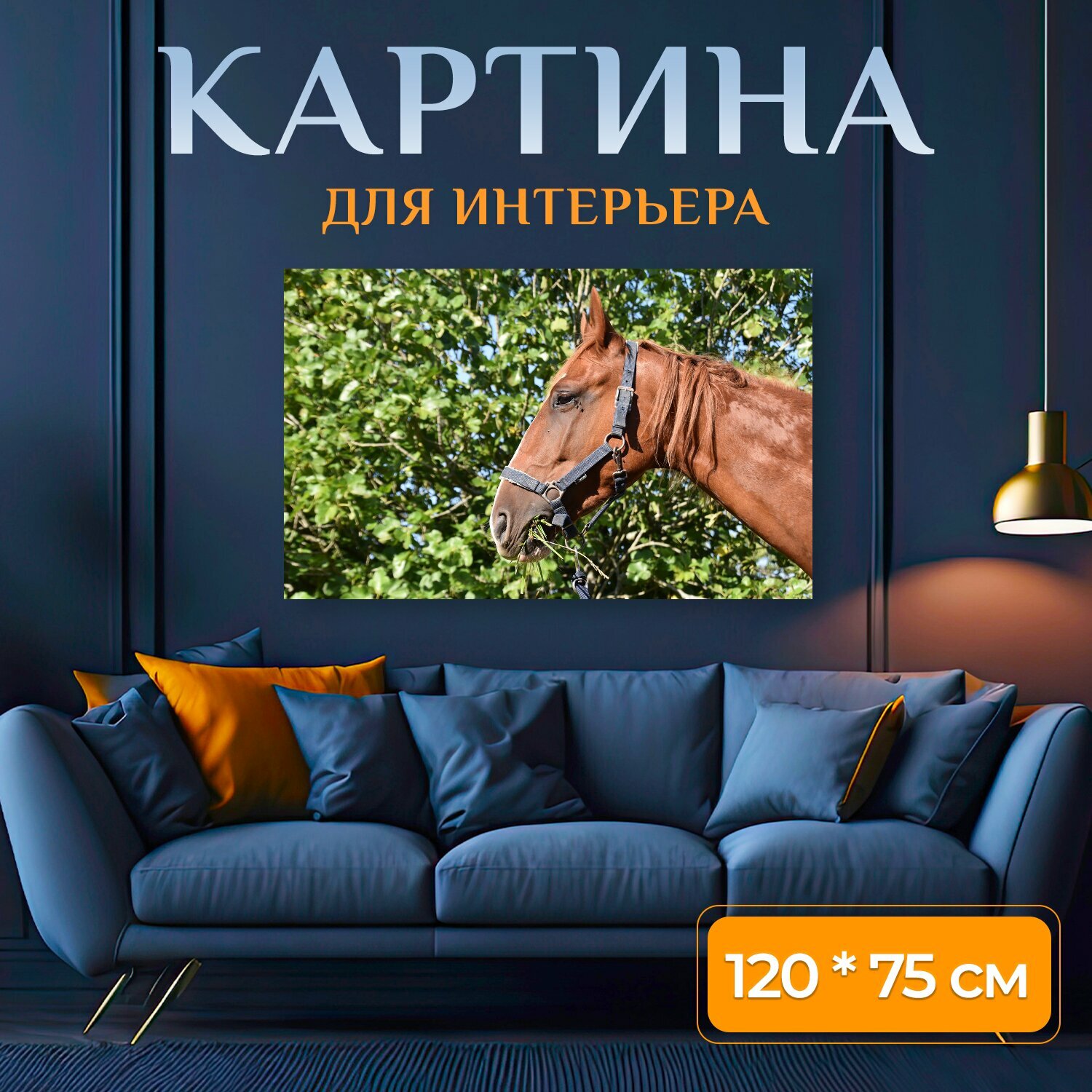 Картина на холсте "Лошадь, животное, троттер" на подрамнике 120х75 см. для интерьера