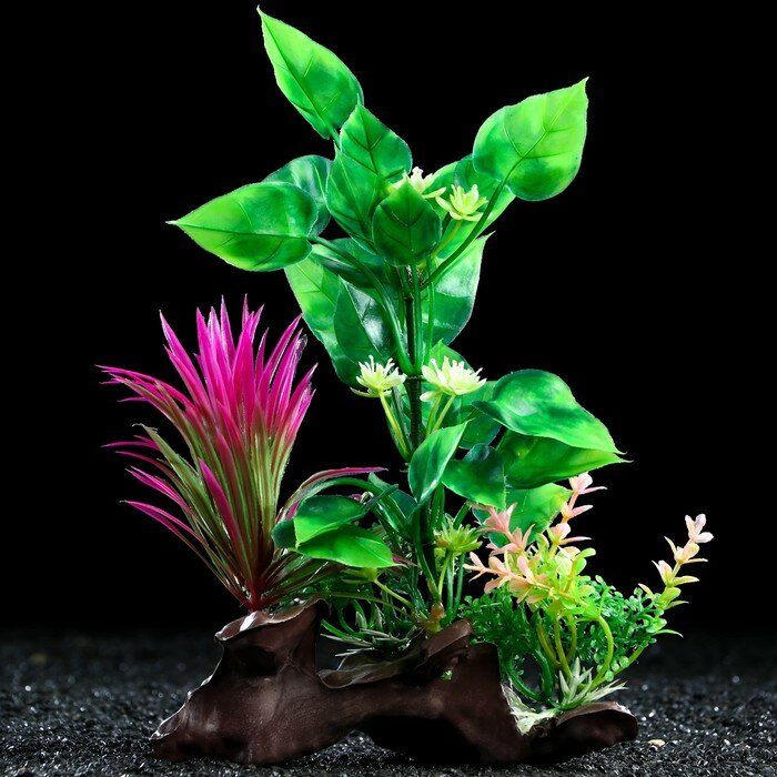 Растение искусственное аквариумное на платформе в виде коряги, 18 см, зелёно-розовое - фотография № 2