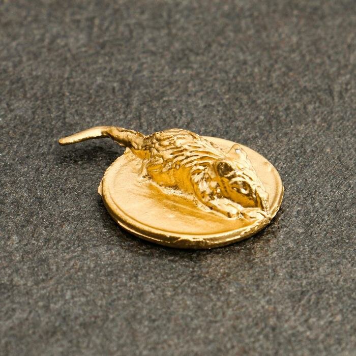 Сувенир кошельковый "Золотая Мышка на монете", олово, 0,6х2,2х1,6 см - фотография № 1