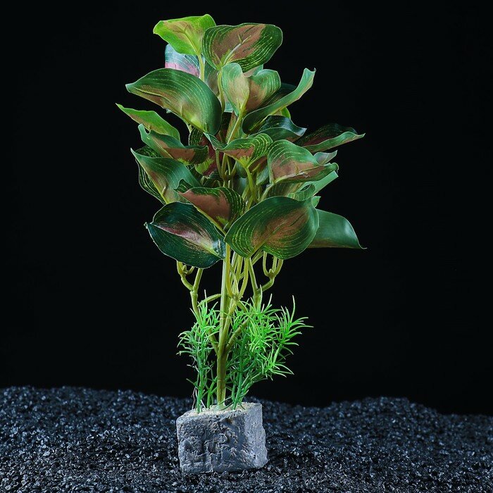 Растение аквариумное "в горшочке", 31 х 23 х 19 см - фотография № 3