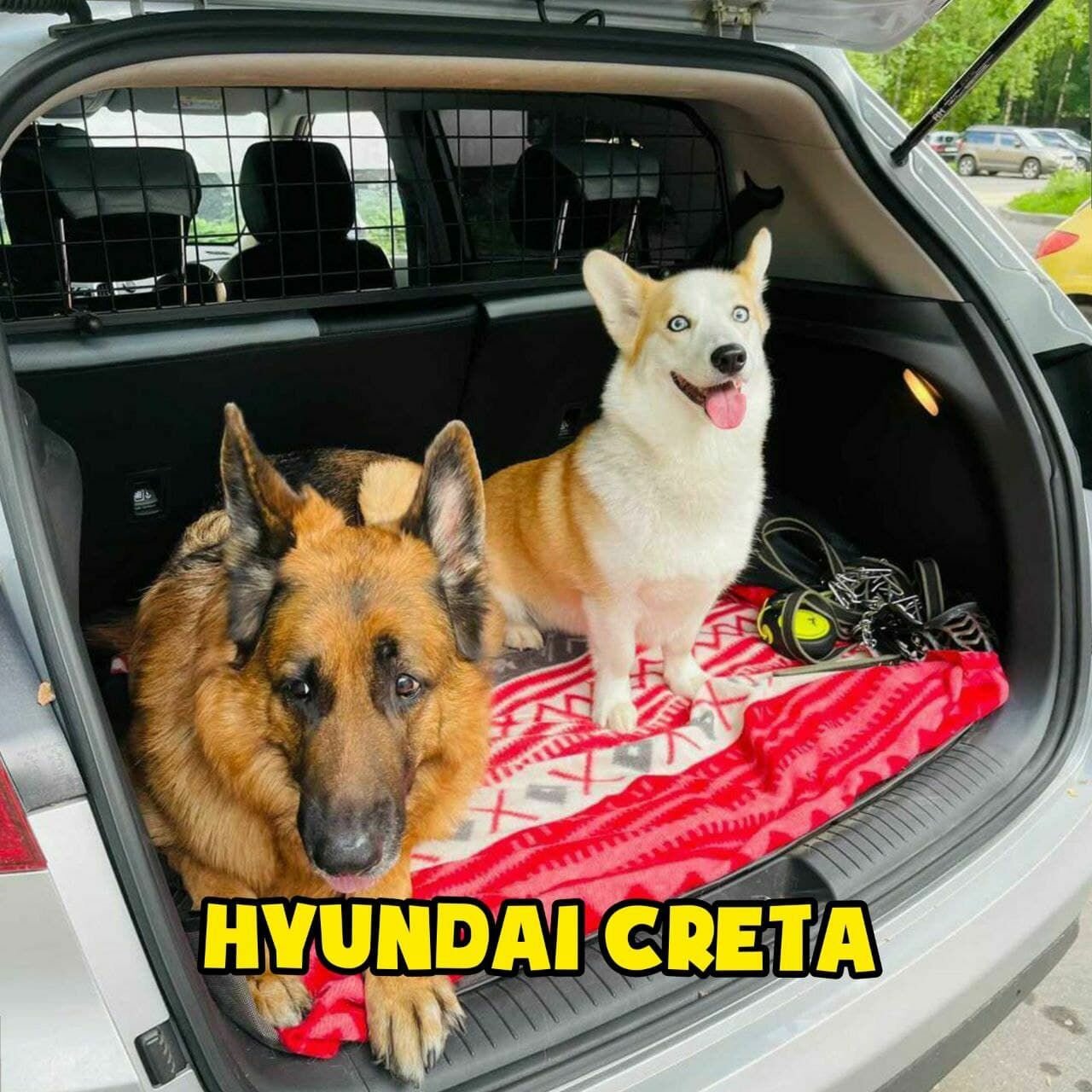 Hyundai Creta решетка в багажник металлическая Dog Voyage - фотография № 3
