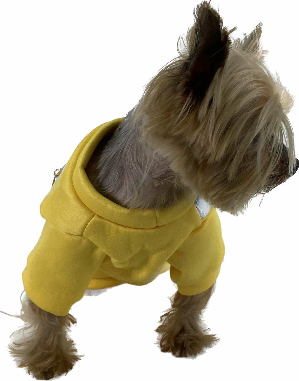Одежда для собак теплый плюшевый свитер желтый с сумкой XS - фотография № 4