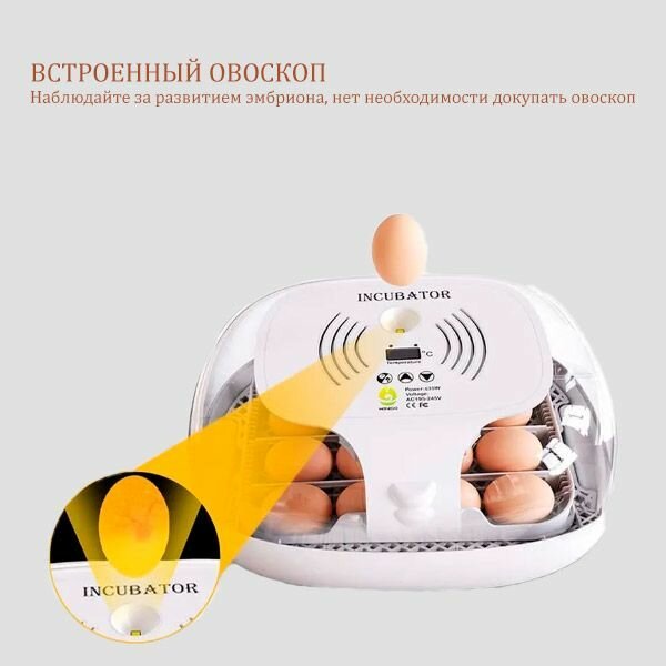 Инкубатор HHD автоматический переворот на 16 яиц с встроенным овоскопом - фотография № 4