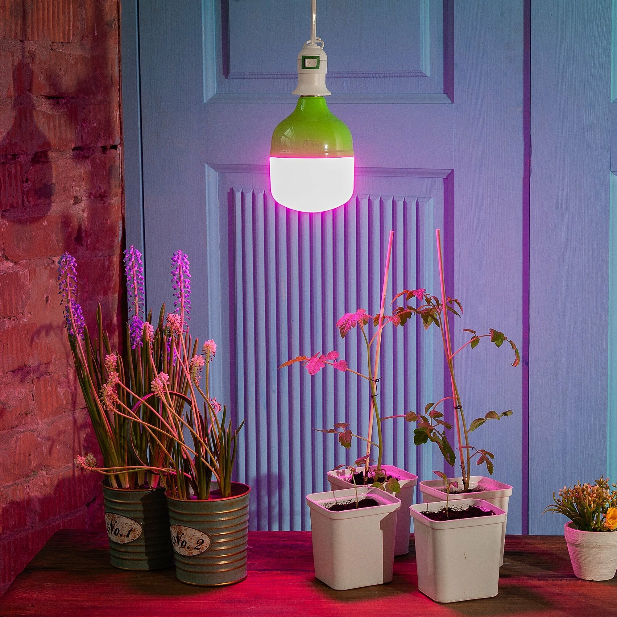 Лампа светодиодная для растений. Форма M - фотография № 3