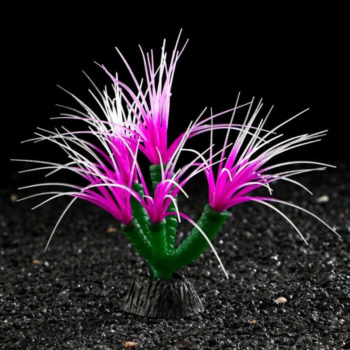 Декор для аквариума Coral Plant силиконовое, светящееся в темноте, 14 х 17 см, фиолетовый - фотография № 3