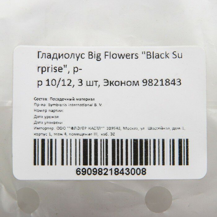 Гладиолус Big Flowers "Black Surprise", р-р 10/12, 3 шт, Эконом - фотография № 2