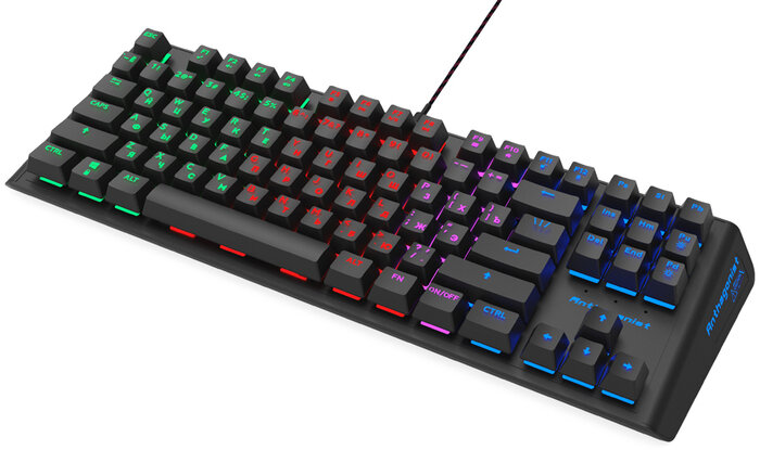 Клавиатура Ritmix RKB-500