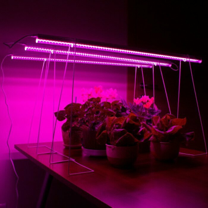 ЭРА Фитосветильник светодиодный, 14 Вт, 872 мм, IP20, сине-красный спектр, фиолетовый, «ЭРА» - фотография № 3