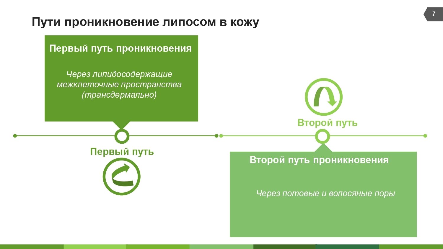 Ринфолтил липосомальная сыворотка против выпадения волос/препятствует развитию ранней седины 160мг 30шт АО Вектор-Медика - фото №7
