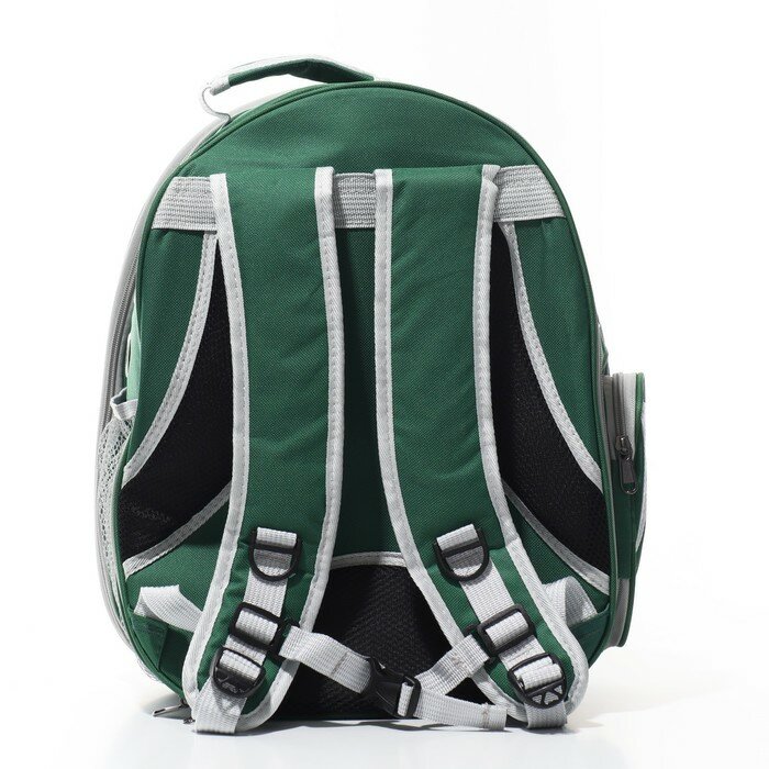 Прозрачный раскладывающийся рюкзак для животных, 33 х 28 х 42 см, зеленый - фотография № 4