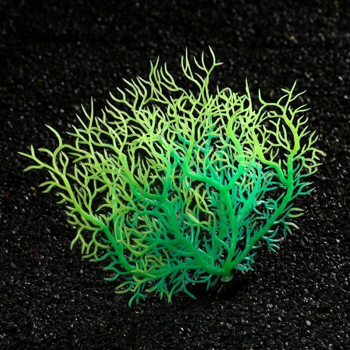 Растение искусственное аквариумное, светящееся, 15 см, зелёное - фотография № 3
