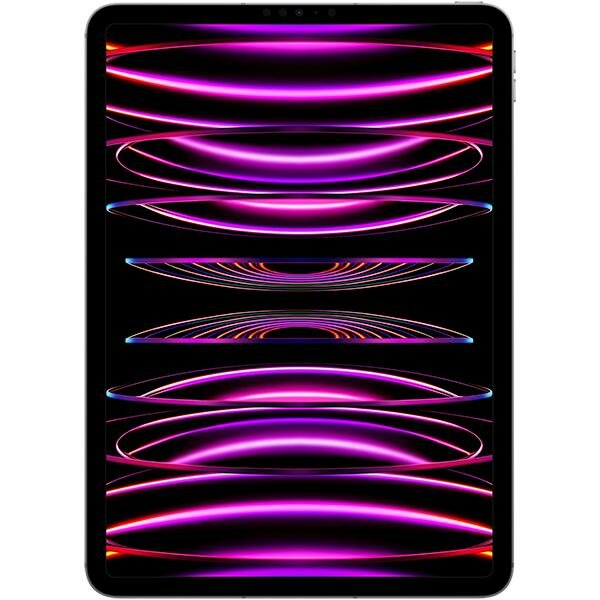 Apple iPad Pro 11 (2022) 256Gb Wi-Fi Space Grey (Космический серый) (Global)