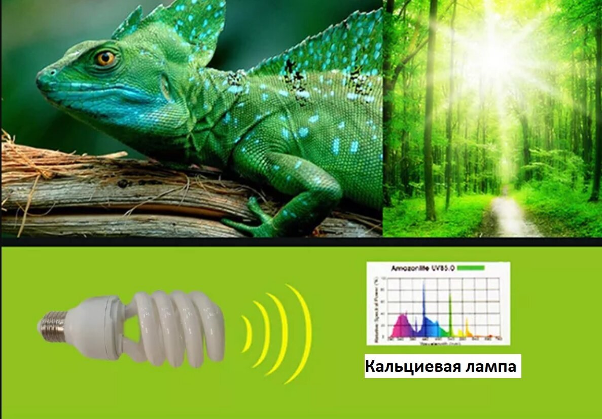 Ультрафиолетовая лампа для террариумов (черепах, змей, хамелеонов) UVB 10.0, E27, 13W, 311 нм - фотография № 3