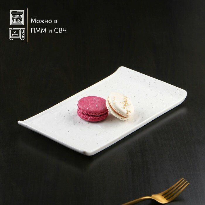 Magistro Блюдо фарфоровое для подачи Magistro Slate, 26,5×15 см, цвет белый - фотография № 2