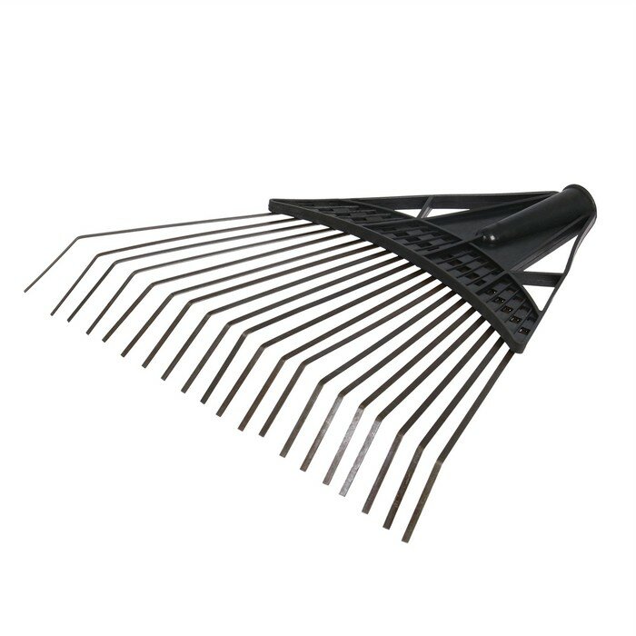 фото Грабли веерные, пластинчатые, 20 зубцов, пластик, тулейка 25 мм, без черенка