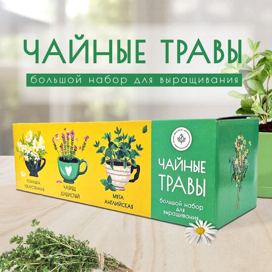 Набор для выращивания микрозелени Plant Republic Чайные травы, pr-021