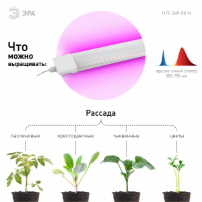 ЭРА Фитосветильник светодиодный, 36 Вт, 1170 мм, IP65, сине-красный спектр, фиолетовый, «ЭРА» - фотография № 3