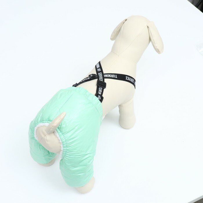 Комбинезон-штаны для собак, размер S (ДС 31, от 34 см), мятный - фотография № 3