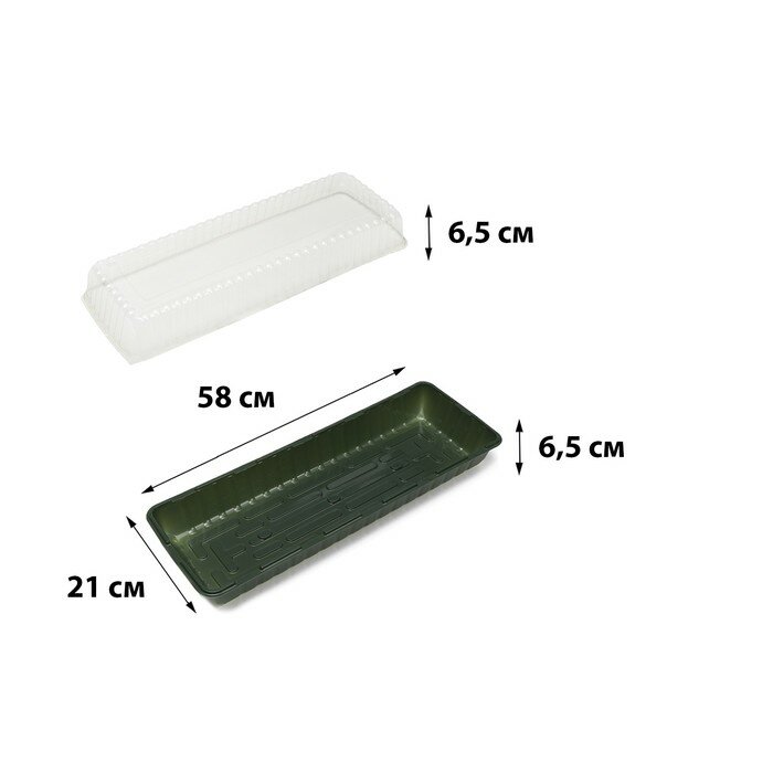 Мини-парник для рассады, 58 × 21 × 12 см, без вставок, тёмно-зелёный (5 шт)