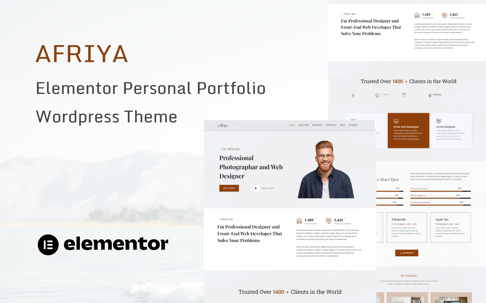 Шаблон Wordpress Afriya - Personal Portfolio CV and Resume Theme WordPress