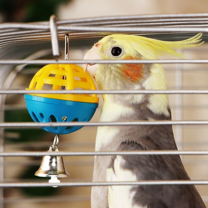 Игрушка для попугая "Забава" с 1 шариком, микс - фотография № 1