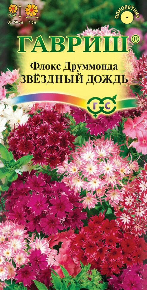 Флокс Звездный дождь Друммонда* 01 г (Гавриш)