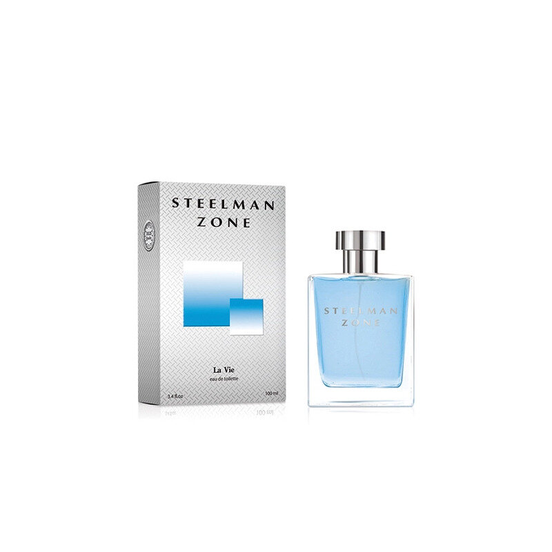 Dilis Parfum Steelman Zone туалетная вода 100 мл для мужчин