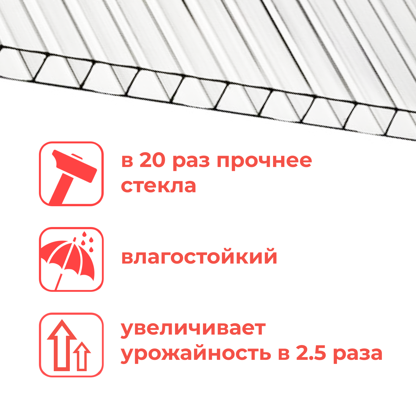 Поликарбонат сотовый 4 мм 2.1x6 м прозрачный КоЛибри - фото №3