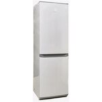 Холодильник Nesons ERB454WLS - изображение