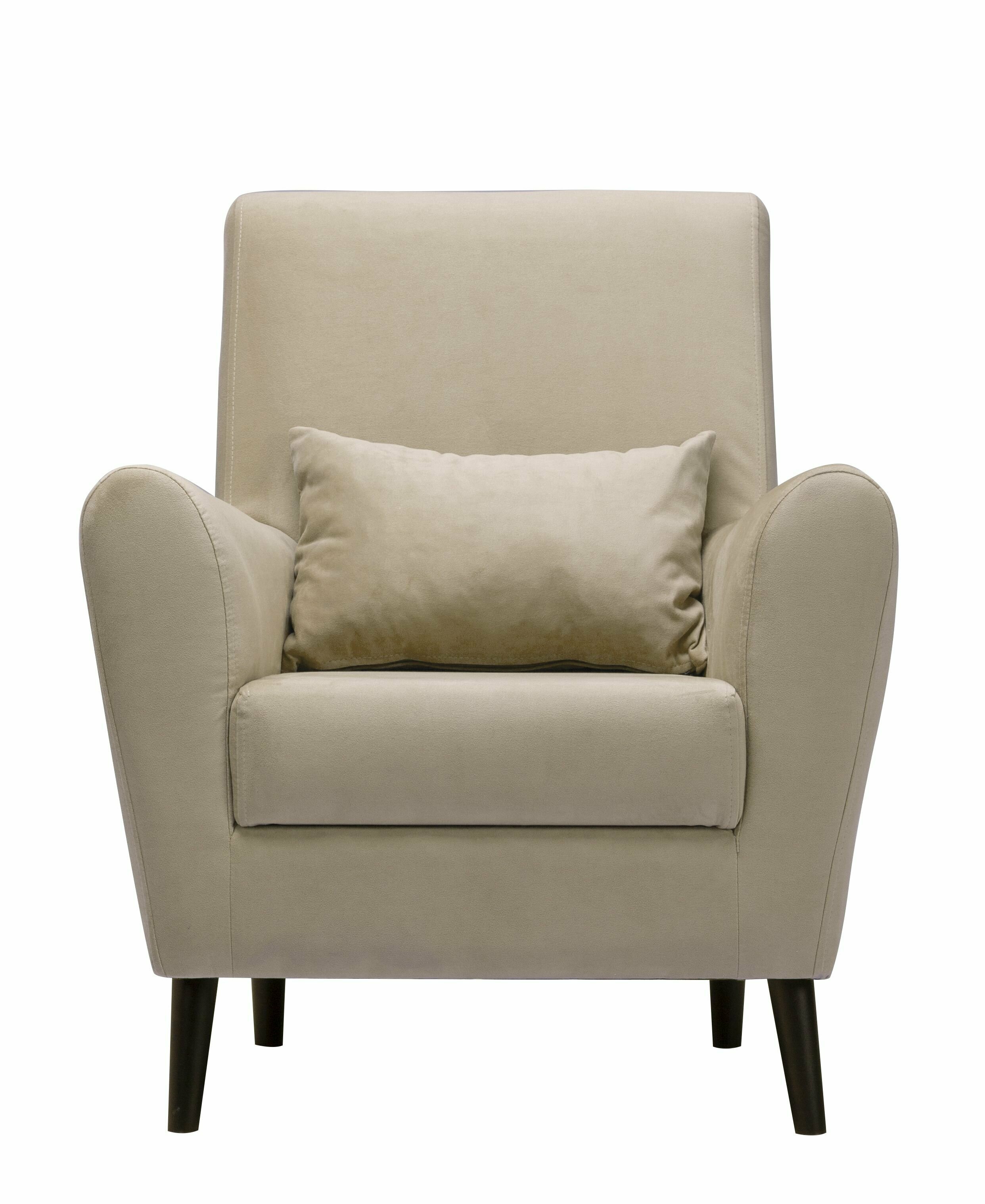 Кресло Либерти мягкое для отдыха, с подушкой, на ножках, велюр Zara light 04