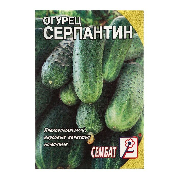 Семена Огурец Серпантин / по 5 уп