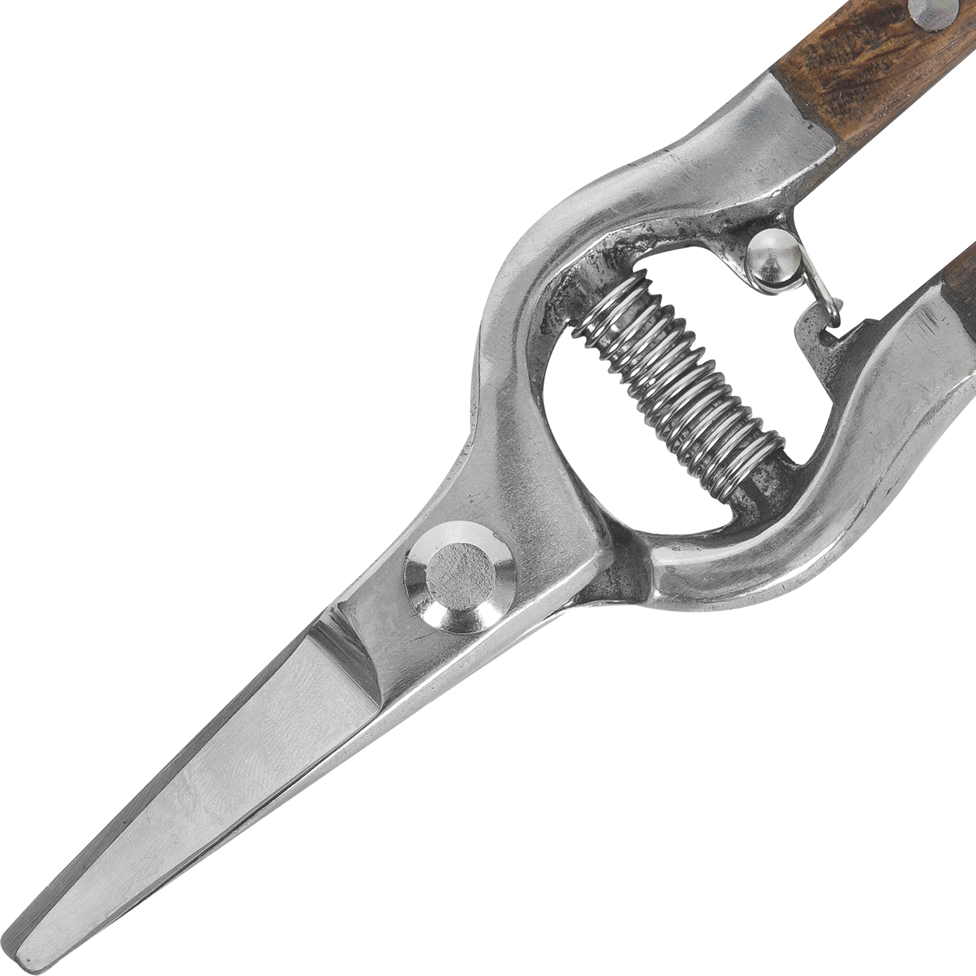 фото Ножницы садовые Новасад для комнатных цветов